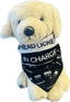 THIGHBRUSH® - HEAD LICKER IN CHARGE - Pet Bandana